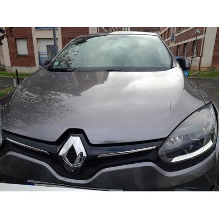 Disque arriere gauche (freinage) RENAULT MEGANE 3 PHASE 1 d’occasion
