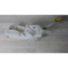 Vase de lave glace RENAULT CLIO 3 PHASE 1 d’occasion