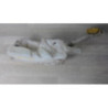 Vase de lave glace RENAULT CLIO 3 PHASE 1 d’occasion