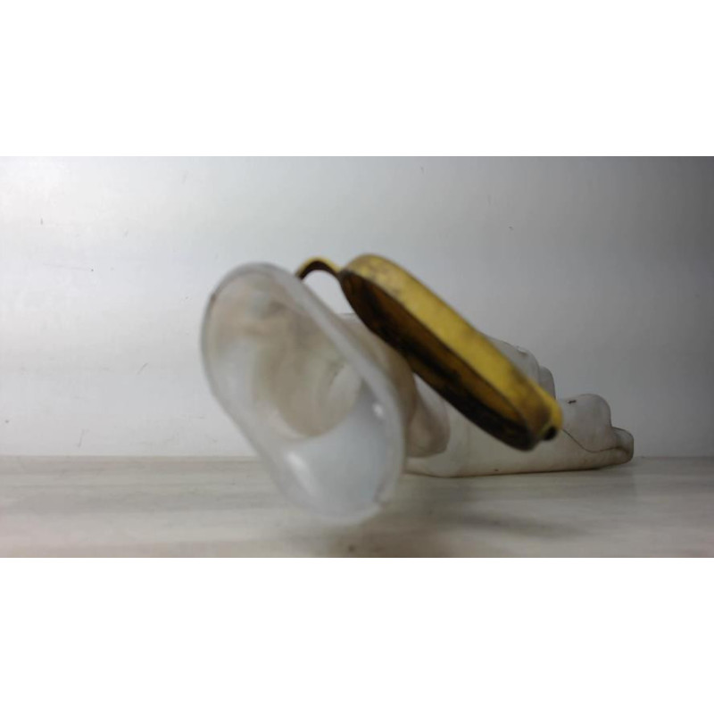 Vase de lave glace RENAULT CLIO 3 PHASE 1 d’occasion