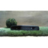 Interrupteur de leve vitre avant droit RENAULT SCENIC 3 PHASE 3 d’occasion