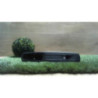 Interrupteur de leve vitre avant droit RENAULT SCENIC 3 PHASE 3 d’occasion