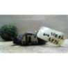 Serrure avant droit TOYOTA YARIS 2 PHASE 1 d’occasion