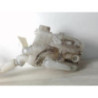 Vase de lave glace PEUGEOT 207 PHASE 1 d’occasion