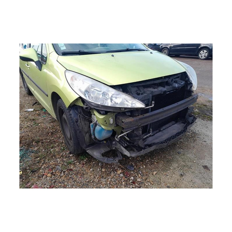 Capot PEUGEOT 207 PHASE 1 d’occasion