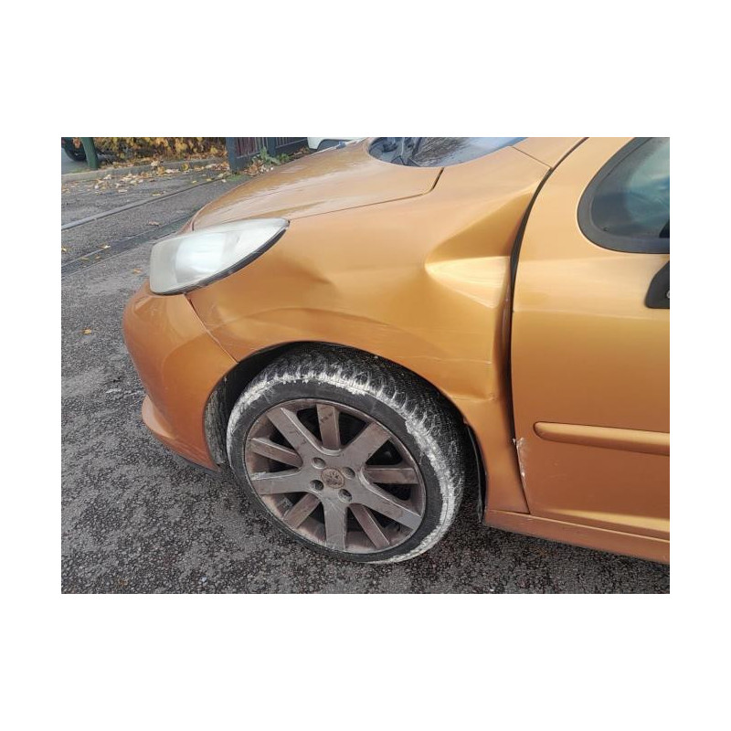 Capot PEUGEOT 207 PHASE 1 d’occasion