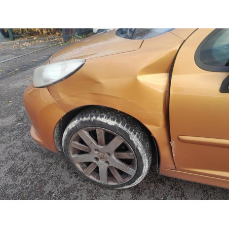 Capot PEUGEOT 207 PHASE 1 d’occasion