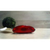 Feu arriere stop central PEUGEOT 206 PHASE 1 d’occasion