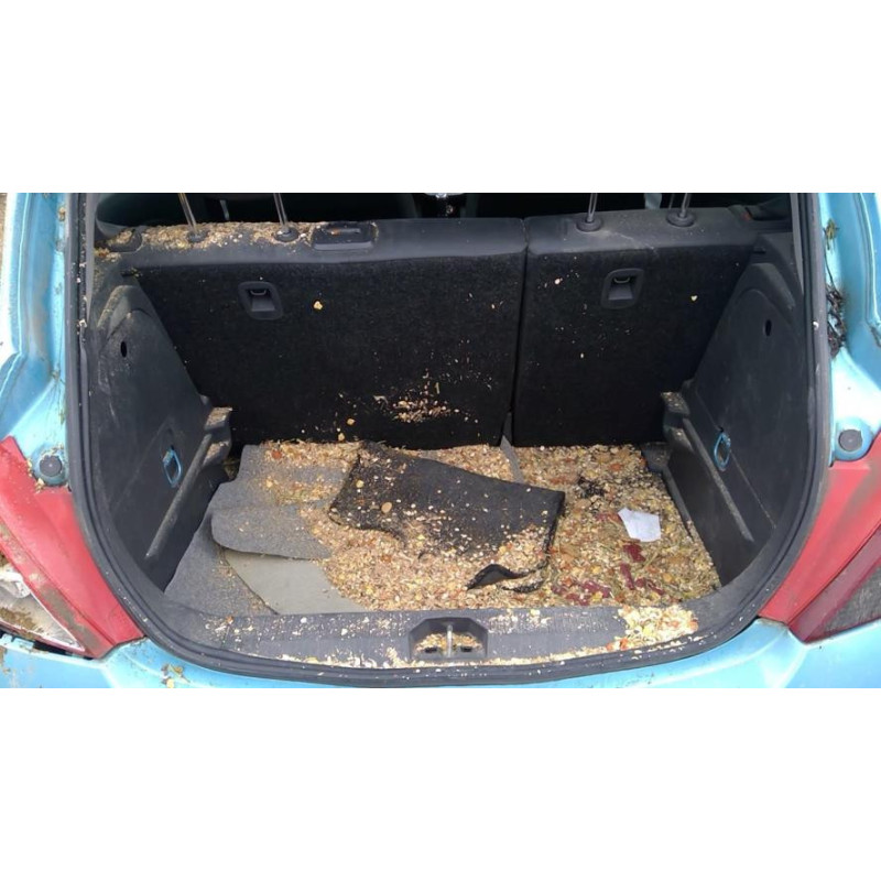 Vitre avant droit OPEL CORSA D PHASE 2 d’occasion