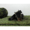 Support moteur CITROEN C2 PHASE 1 d’occasion