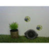 Support moteur RENAULT CLIO 2 PHASE 1 d’occasion