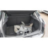 Ecrous RENAULT MEGANE 3 PHASE 1 d’occasion