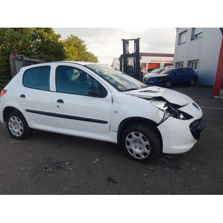 Feu factice arriere droit PEUGEOT 206+ d’occasion