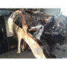 Demarreur PEUGEOT 407 PHASE 1 BREAK d’occasion
