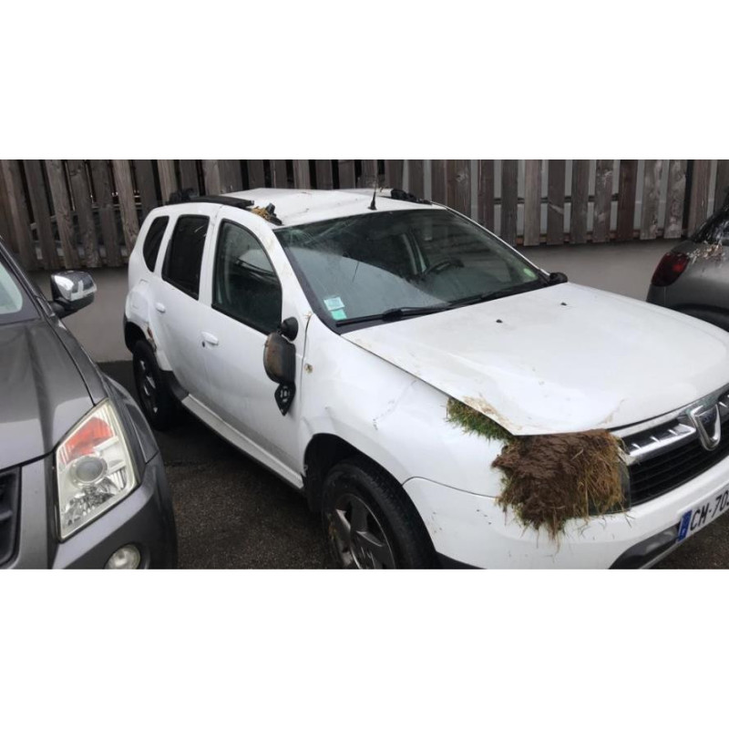 Tirant de porte arriere gauche DACIA DUSTER 1 PHASE 1 d’occasion