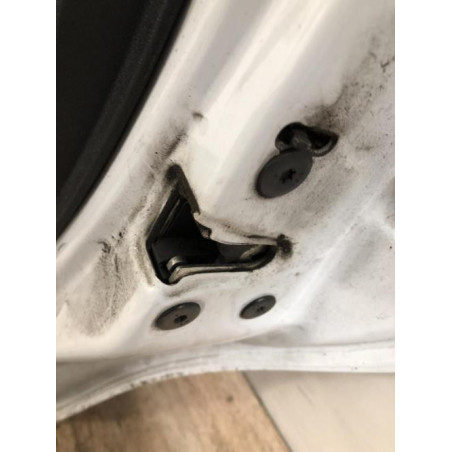 Porte arriere droit DACIA DUSTER 1 PHASE 1 d’occasion