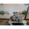 Boite de vitesses RENAULT CLIO 2 PHASE 1 d’occasion