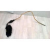 Filtre a carburant RENAULT LAGUNA 2 PHASE 2 d’occasion