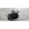 Boite de vitesses RENAULT CLIO 2 PHASE 1 d’occasion