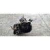 Boite de vitesses RENAULT CLIO 2 PHASE 1 d’occasion