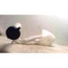 Vase de lave glace CITROEN C3 1 PHASE 1 d’occasion
