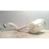 Vase de lave glace CITROEN C3 1 PHASE 1 d’occasion