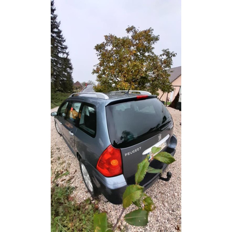 Jante PEUGEOT 307 PHASE 1 BREAK d’occasion