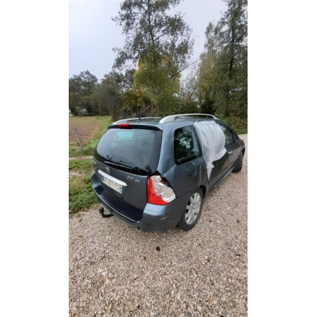 Jante PEUGEOT 307 PHASE 1 BREAK d’occasion