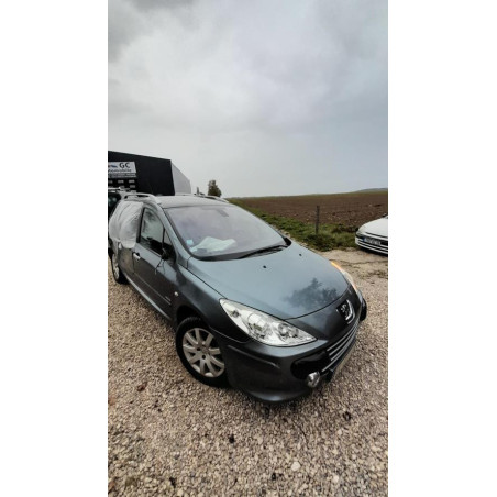 Jante PEUGEOT 307 PHASE 1 BREAK d’occasion