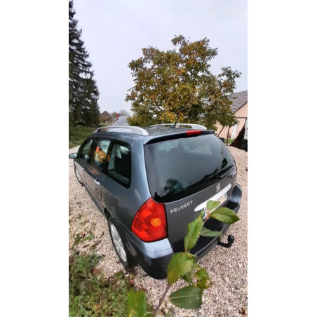 Jante PEUGEOT 307 PHASE 1 BREAK d’occasion