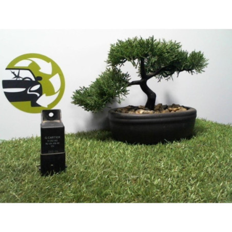 Relais electrique CITROEN C4 1 PHASE 1 d’occasion