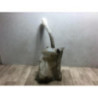 Vase de lave glace CITROEN DS5 PHASE 1 d’occasion