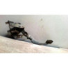 Pedalier d'embrayage NISSAN NOTE 1 PHASE 1 d’occasion