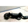 Ceinture avant droit RENAULT MEGANE 2 PHASE 2 d’occasion