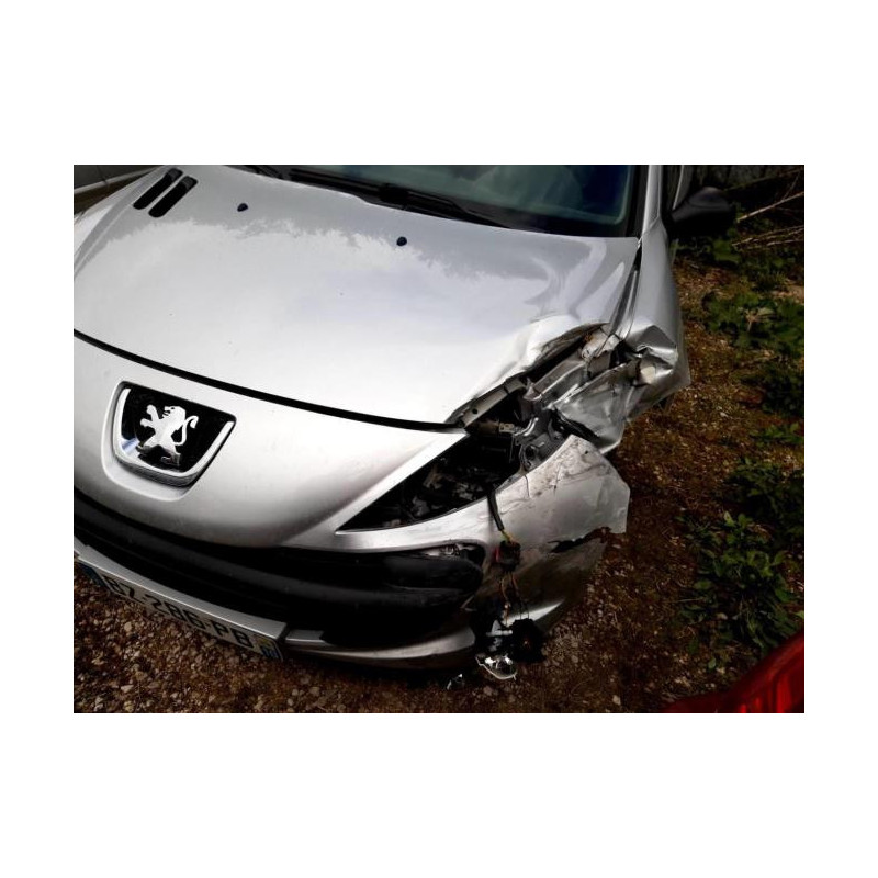 Serrure de hayon PEUGEOT 206+ d’occasion