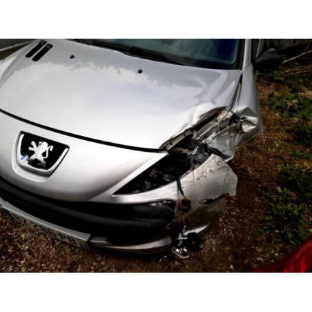 Serrure de hayon PEUGEOT 206+ d’occasion