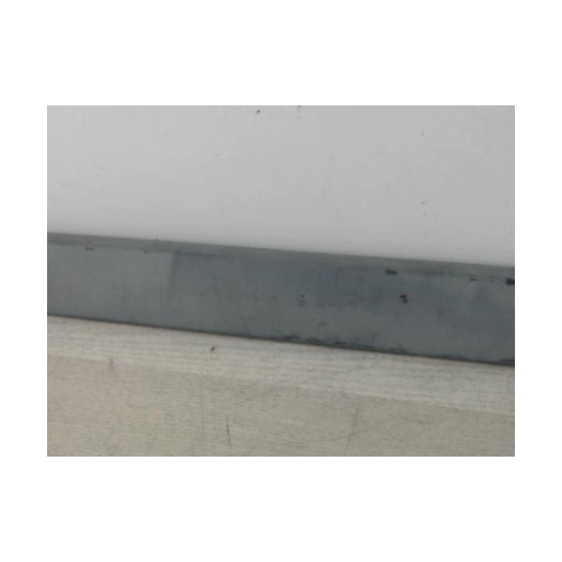 Baguette de porte avant gauche RENAULT SCENIC 2 PHASE 1 d’occasion