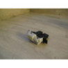 Serrure de hayon RENAULT  d’occasion