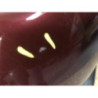 Pare choc arriere OPEL ASTRA F PHASE 2 d’occasion