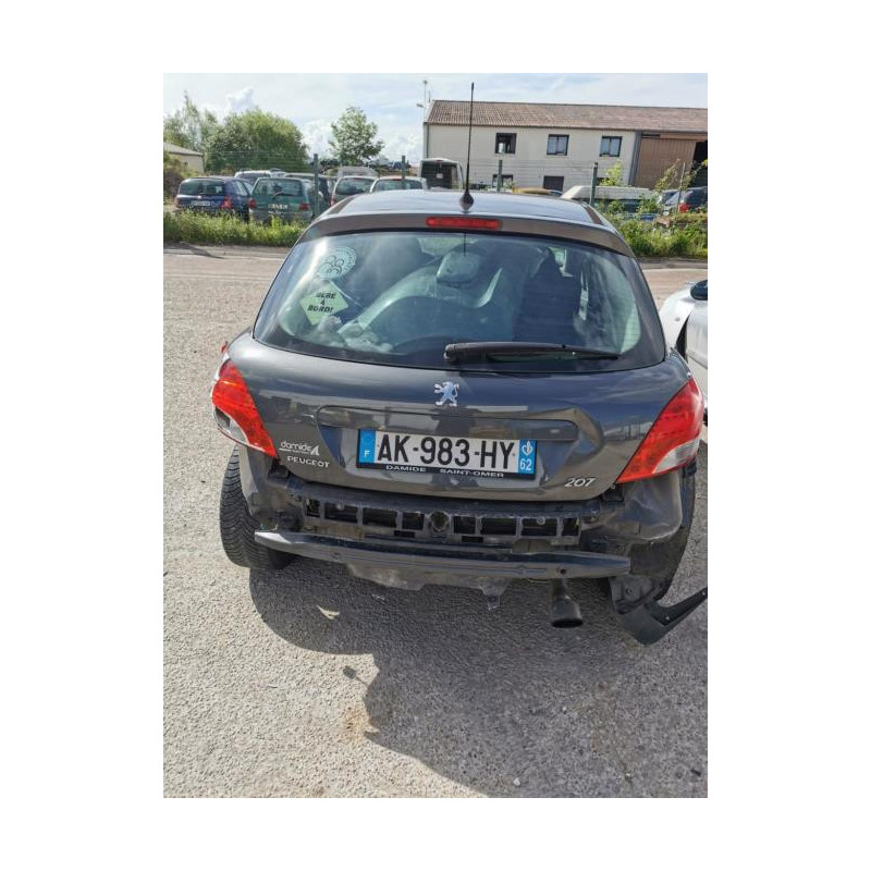 Capot PEUGEOT 207 PHASE 2 d’occasion