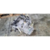 Boite de vitesses PEUGEOT 206 PHASE 1 d’occasion