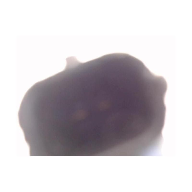 Pompe haute pression PEUGEOT 307 PHASE 2 d’occasion