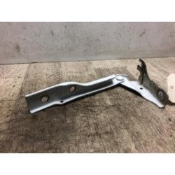 Charniere de capot VOLKSWAGEN POLO 5 PHASE 2 d’occasion