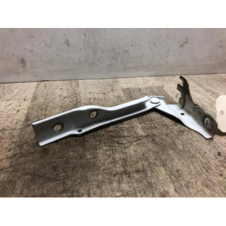 Charniere de capot VOLKSWAGEN POLO 5 PHASE 2 d’occasion