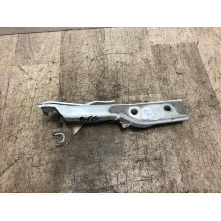 Charniere de capot VOLKSWAGEN POLO 5 PHASE 2 d’occasion