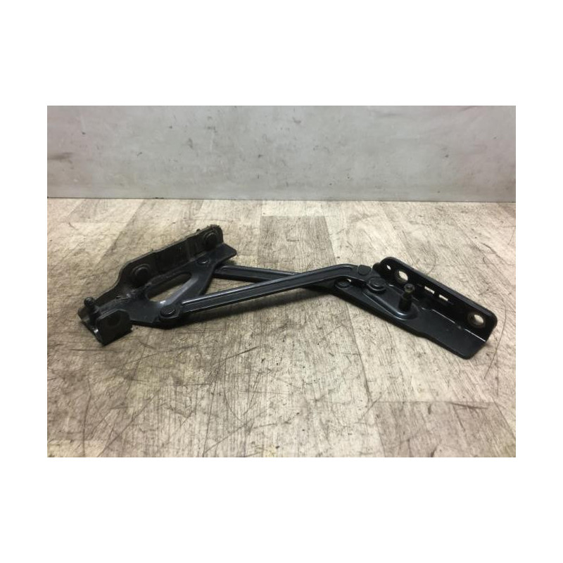 Charniere de hayon PEUGEOT 407 COUPE d’occasion
