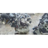 Moteur RENAULT CLIO 4 PHASE 1 d’occasion