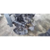 Moteur RENAULT CLIO 4 PHASE 1 d’occasion