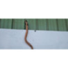 Tube intermediaire (echappement) PEUGEOT 106 PHASE 2 d’occasion