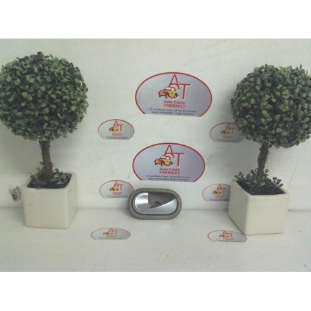 Poignee interieur avant gauche RENAULT SCENIC II PHASE 1 d’occasion